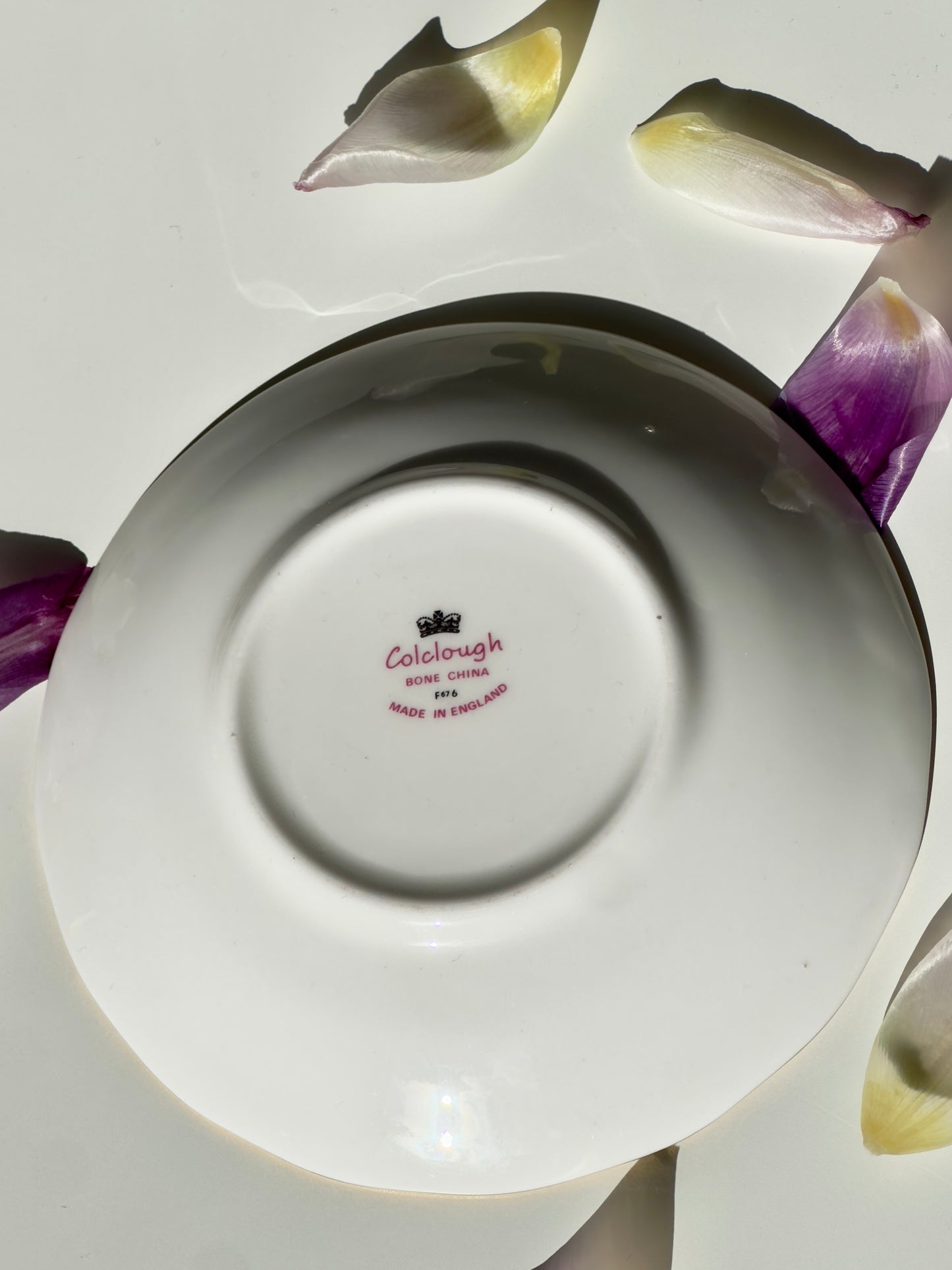 Tea cup and saucer Vintage Bordeaux