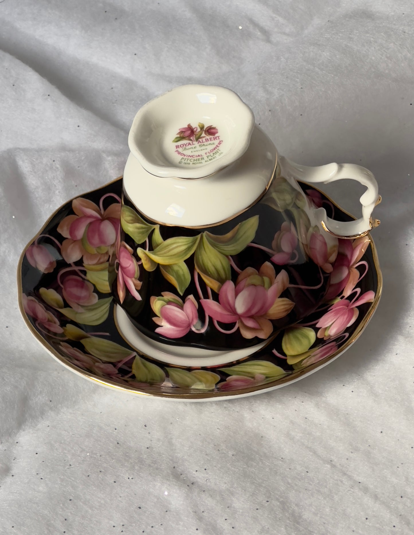 Tasse et soucoupe Royal Albert Pitcher plant