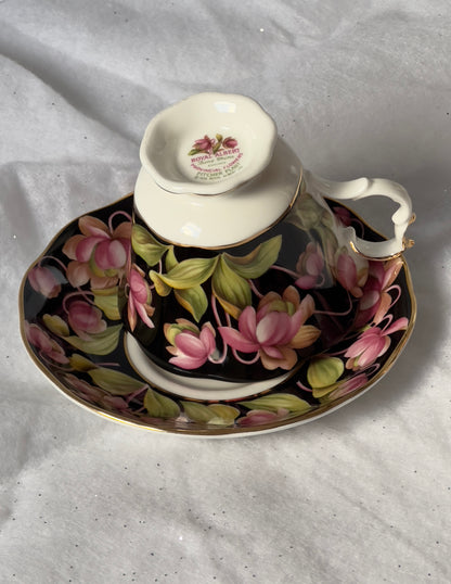 Tasse et soucoupe Royal Albert Pitcher plant