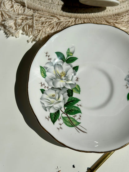 Tasse et soucoupe Royal Camellia