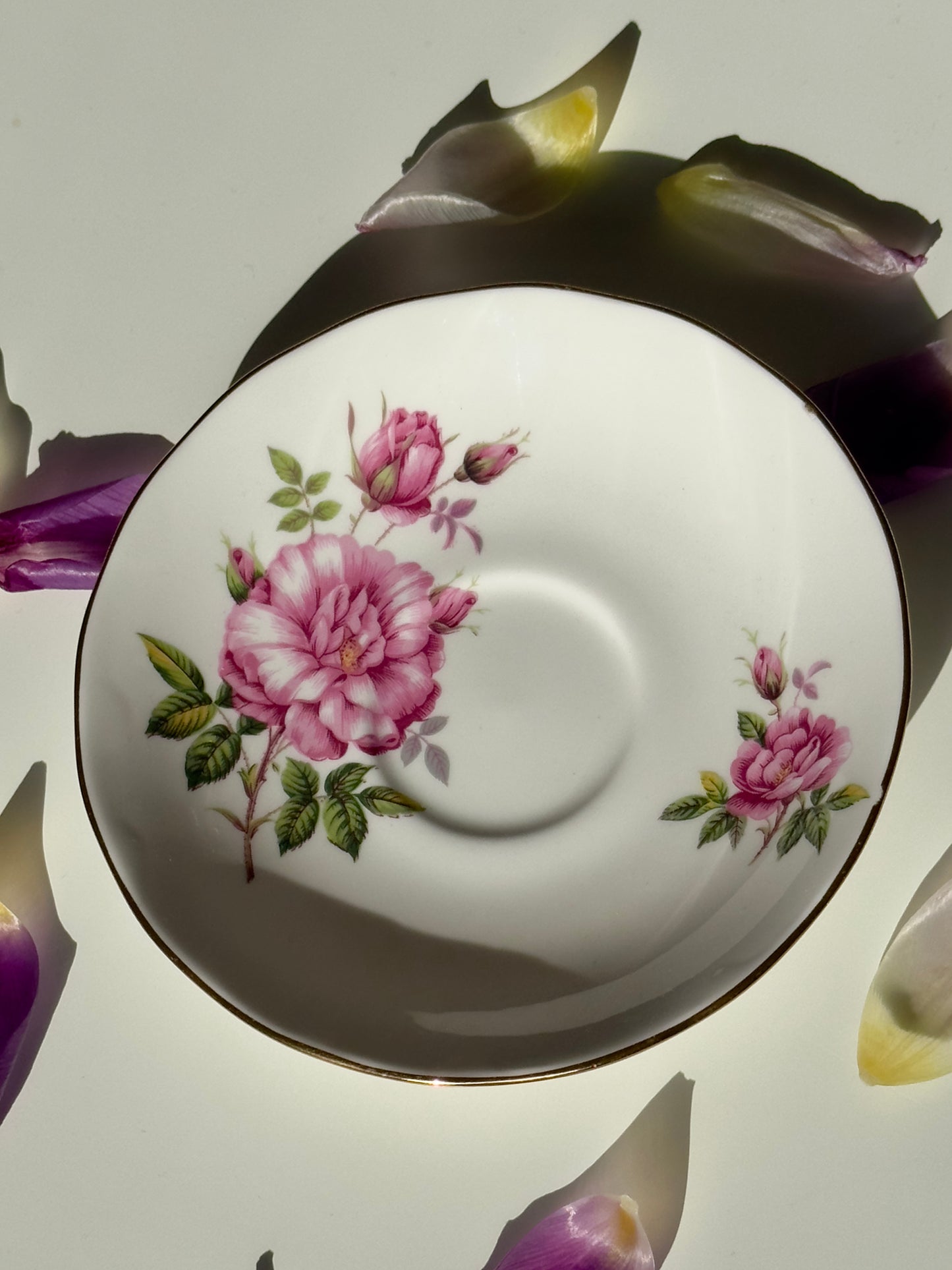 Tea cup and Saucer Pink flowers
