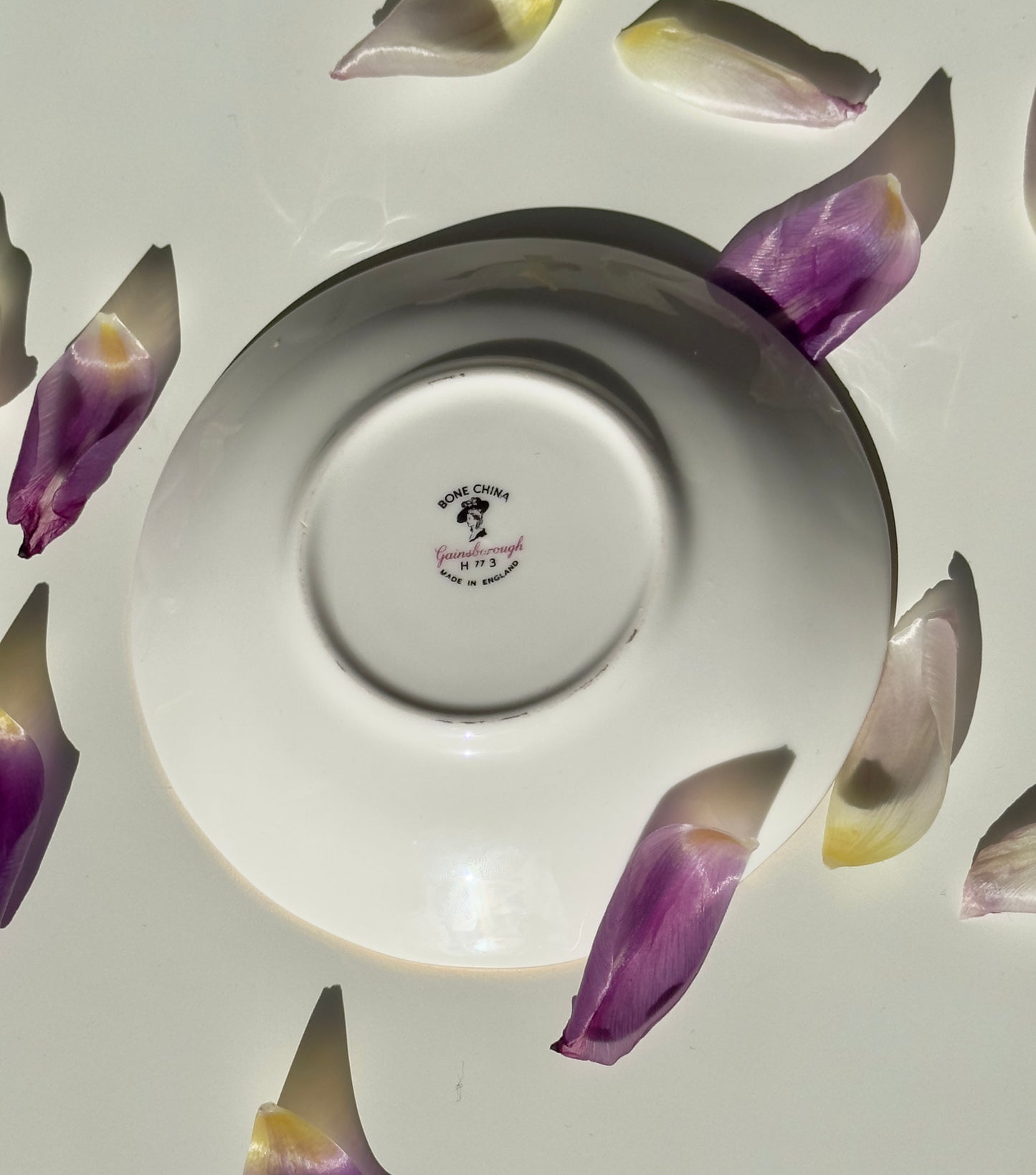 Tea cup and Saucer Pink flowers