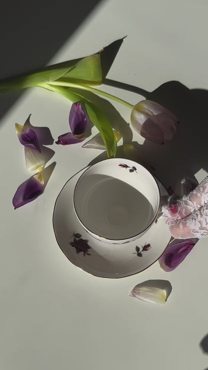 Infuseur Swan